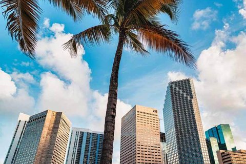 Elite housing in Florida: Miami or Hollywood?