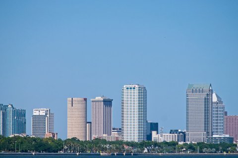Район залива Тампа стал одним из самых популярных направлений для миграции во Флориде