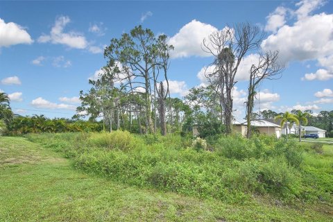 Terreno en venta en Port Charlotte, Florida № 1255009 - foto 7