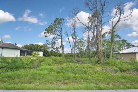 Terreno en venta en Port Charlotte, Florida № 1255009 - foto 3