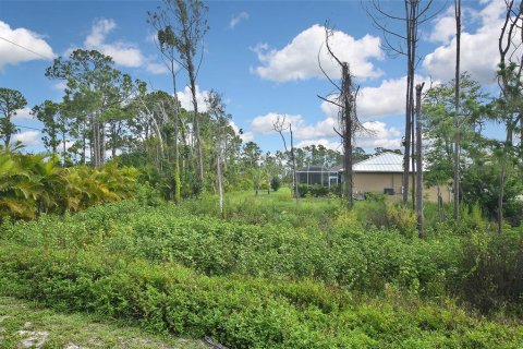 Terreno en venta en Port Charlotte, Florida № 1255009 - foto 9