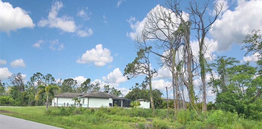 Terrain à Port Charlotte, Floride № 1255009