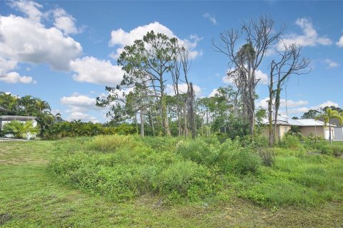 Terreno en venta en Port Charlotte, Florida № 1255009 - foto 8