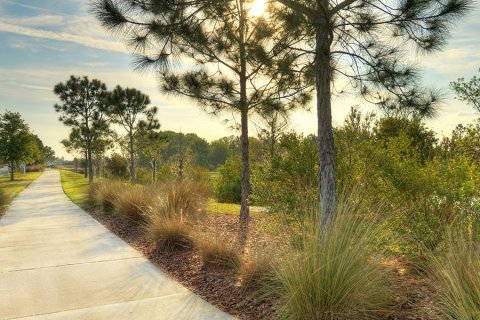 Persimmon Park by ICI Homes sobre plano en Wesley Chapel, Florida № 526147 - foto 5