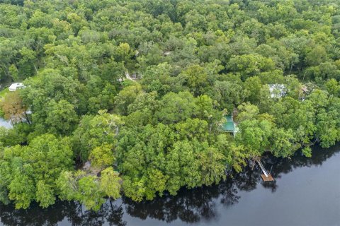 Land in Fort White, Florida № 1311475 - photo 14