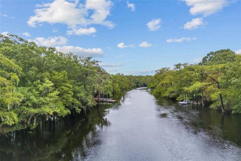 Land in Fort White, Florida № 1311475 - photo 15