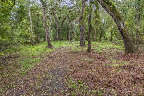 Land in Fort White, Florida № 1311475 - photo 16