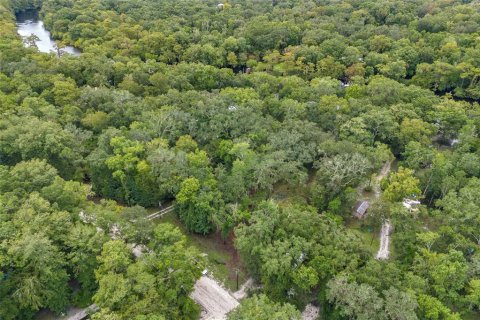 Land in Fort White, Florida № 1311475 - photo 12