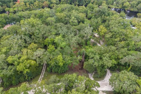 Land in Fort White, Florida № 1311475 - photo 6