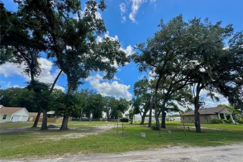 Land in Zephyrhills, Florida № 1252562 - photo 1