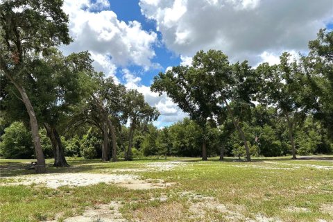 Terrain à vendre à Zephyrhills, Floride № 1252562 - photo 3