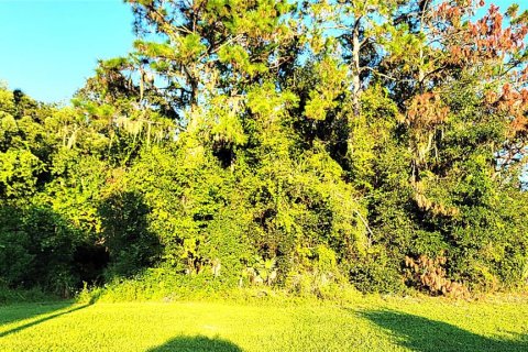 Terreno en venta en Yalaha, Florida № 1369862 - foto 4