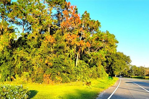 Land in Yalaha, Florida № 1369862 - photo 1