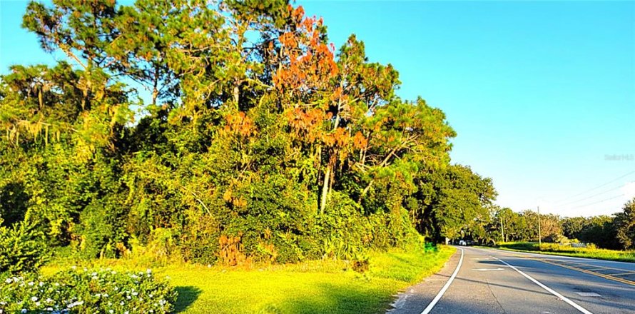 Land in Yalaha, Florida № 1369862