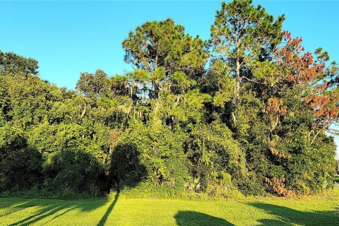 Terreno en venta en Yalaha, Florida № 1369862 - foto 6