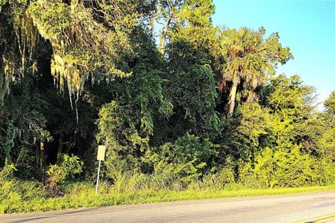 Terreno en venta en Yalaha, Florida № 1369862 - foto 3