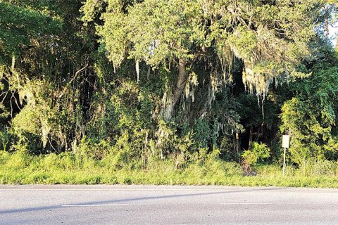 Land in Yalaha, Florida № 1369862 - photo 2