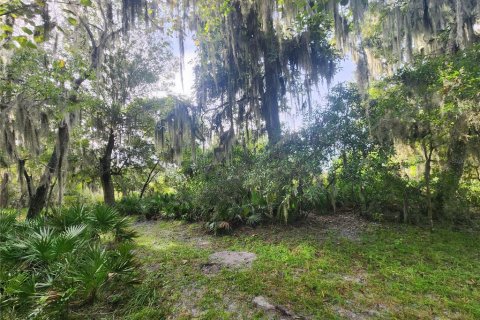 Terreno en venta en Inverness, Florida № 1361583 - foto 5