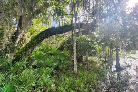 Land in Inverness, Florida № 1361583 - photo 4