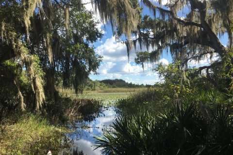 Land in Inverness, Florida № 1361583 - photo 1