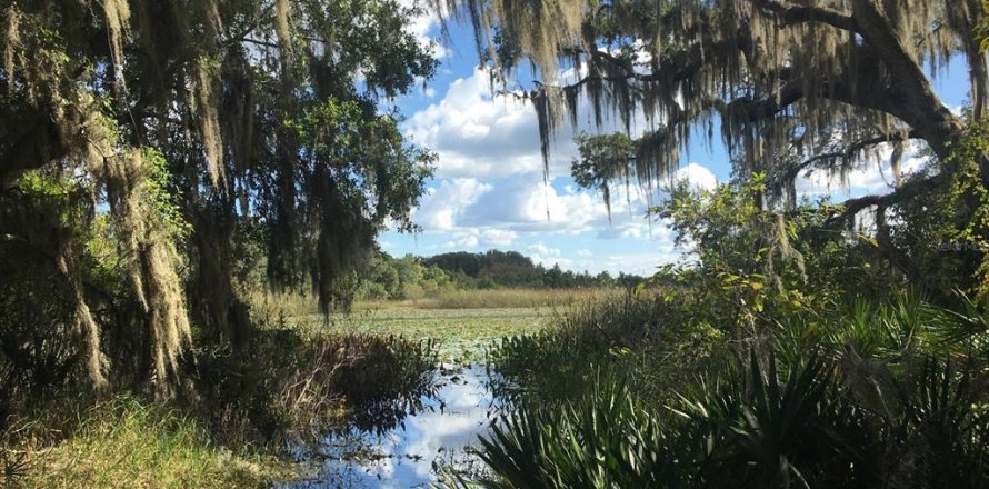 Terreno en Inverness, Florida № 1361583