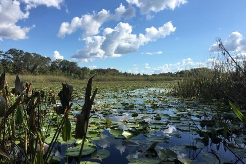 Terreno en venta en Inverness, Florida № 1361583 - foto 2