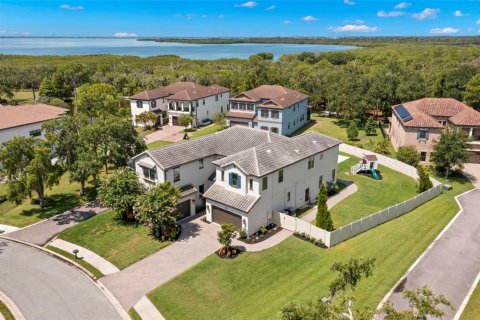 Villa ou maison à vendre à Tampa, Floride: 6 chambres, 400.78 m2 № 1253654 - photo 3