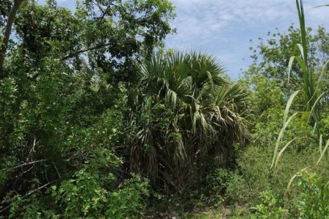 Land in Okeechobee, Florida № 1217846 - photo 6