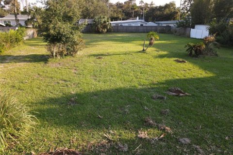 Terreno en venta en Edgewater, Florida № 1405168 - foto 8