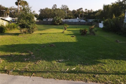 Terreno en venta en Edgewater, Florida № 1405168 - foto 10