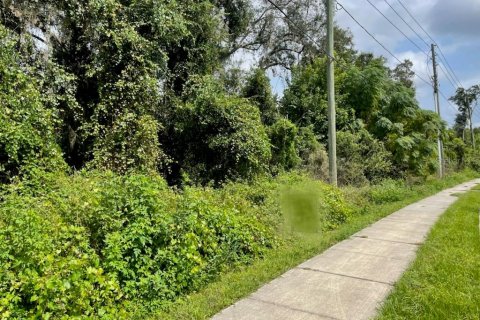 Купить земельный участок в Делтона, Флорида № 831244 - фото 4