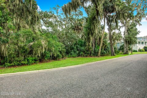 Terrain à vendre à Fernandina Beach, Floride № 771067 - photo 2