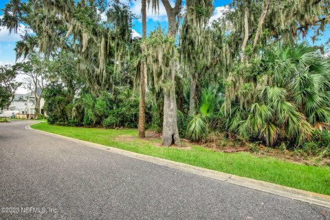 Купить земельный участок в Фернандина-Бич, Флорида № 771067 - фото 1