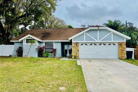 Villa ou maison à vendre à Brandon, Floride: 4 chambres, 168.25 m2 № 1340555 - photo 1