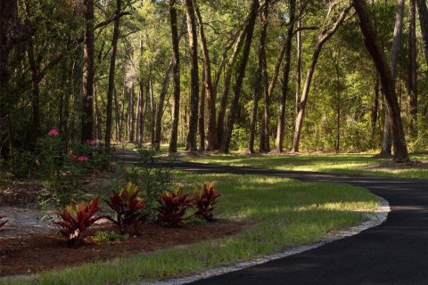 Terreno en venta en Ocala, Florida № 1001170 - foto 3