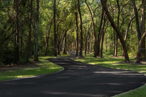 Land in Ocala, Florida № 1001170 - photo 2