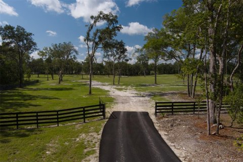 Terreno en venta en Ocala, Florida № 1001170 - foto 5