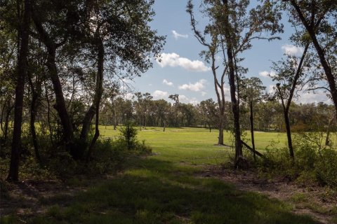 Terrain à vendre à Ocala, Floride № 1001170 - photo 8