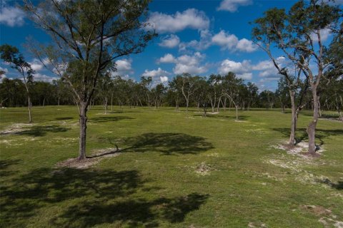 Terrain à vendre à Ocala, Floride № 1001170 - photo 7