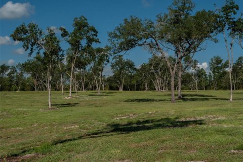 Terrain à vendre à Ocala, Floride № 1001170 - photo 6