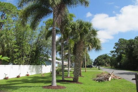 Terreno en venta en St. Lucie, Florida № 1389391 - foto 1