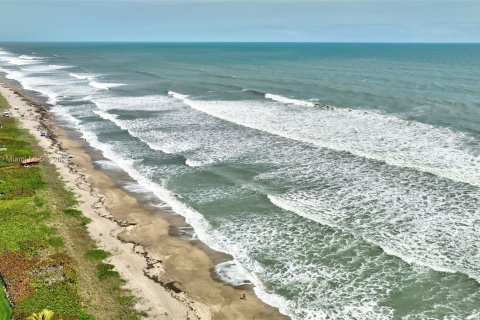 Land in Jensen Beach, Florida № 1230009 - photo 7