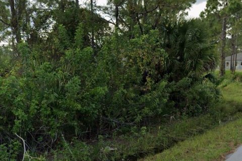 Купить земельный участок в Палм-Бей, Флорида № 1016588 - фото 1