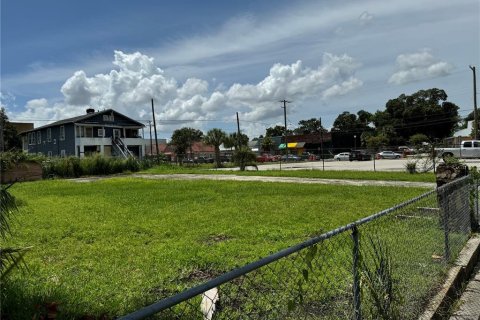 Land in Tampa, Florida № 1356463 - photo 12