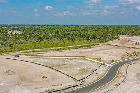 Land in Titusville, Florida № 1355693 - photo 7