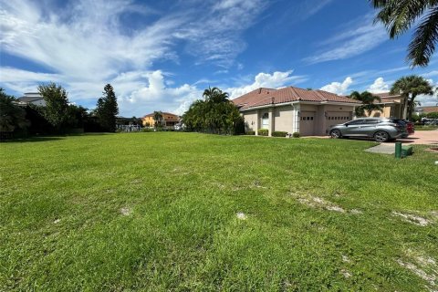 Land in Apollo Beach, Florida № 1356598 - photo 2