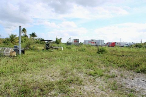 Commercial property in Homestead, Florida № 1099438 - photo 16