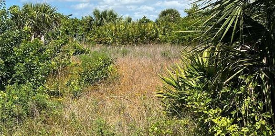 Terrain à Port Charlotte, Floride № 1283059