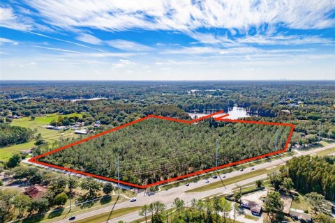 Terreno en venta en Lutz, Florida № 1275247 - foto 16