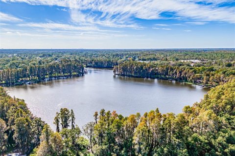 Land in Lutz, Florida № 1275247 - photo 6